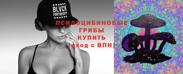 кокс Баксан